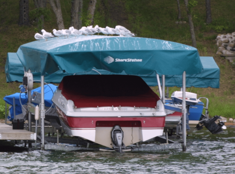 How To Keep The Birds Off Your Boat Lift Cover